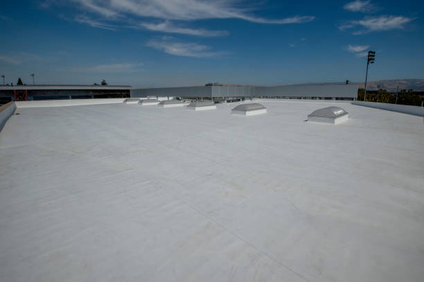 Best Steel Roofing  in West Vero Corridor, FL